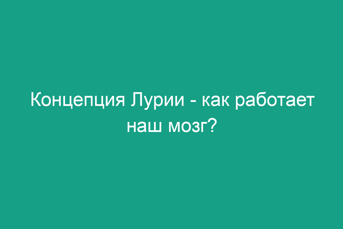 Концепция Лурии - как работает наш мозг?